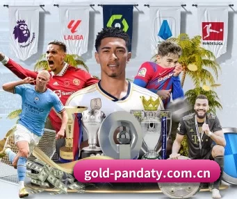 gold-pandaty.com.cn APP